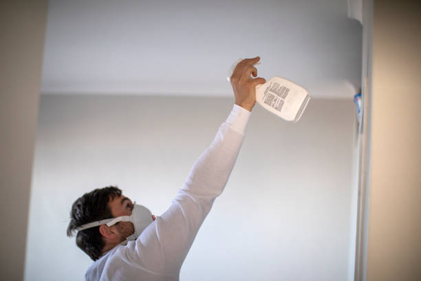 Best Mold Testing  in Holtville, AL