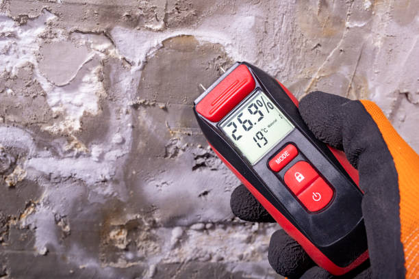 Best Commercial Mold Removal  in Holtville, AL