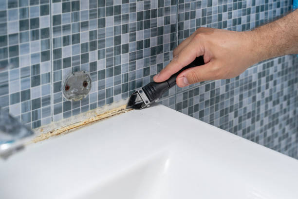 Best Professional Mold Removal  in Holtville, AL