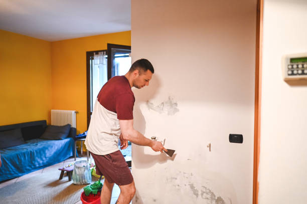 Best Black Mold Removal  in Holtville, AL